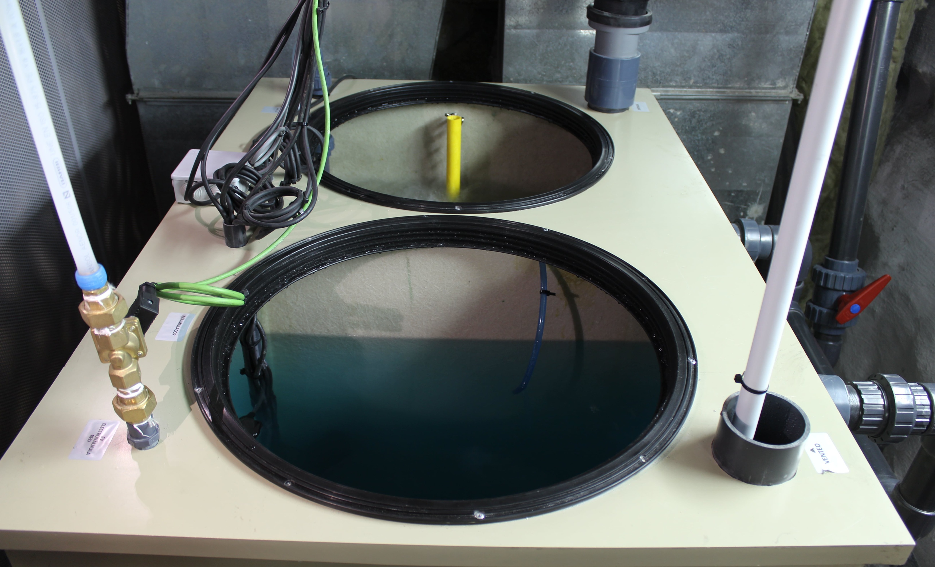 A circular, cost-efficient Nature-based Solution for climate-resilient buildings 