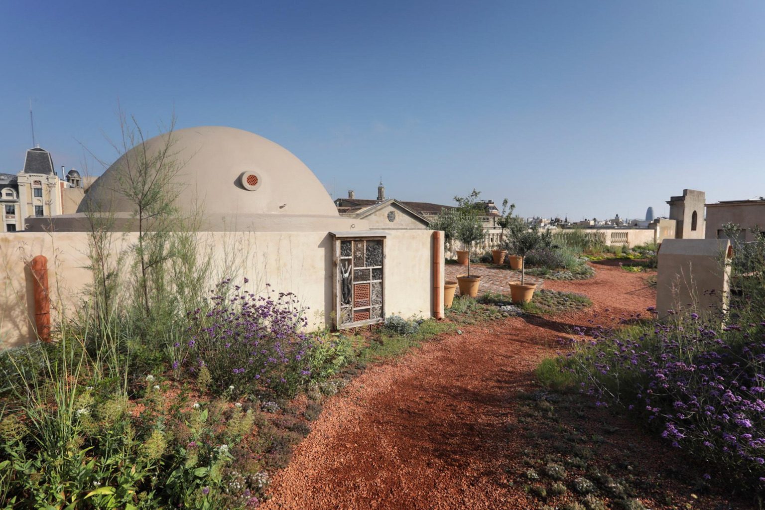 Barcelona Xifré’s Rooftop: A Wild Garden above the City