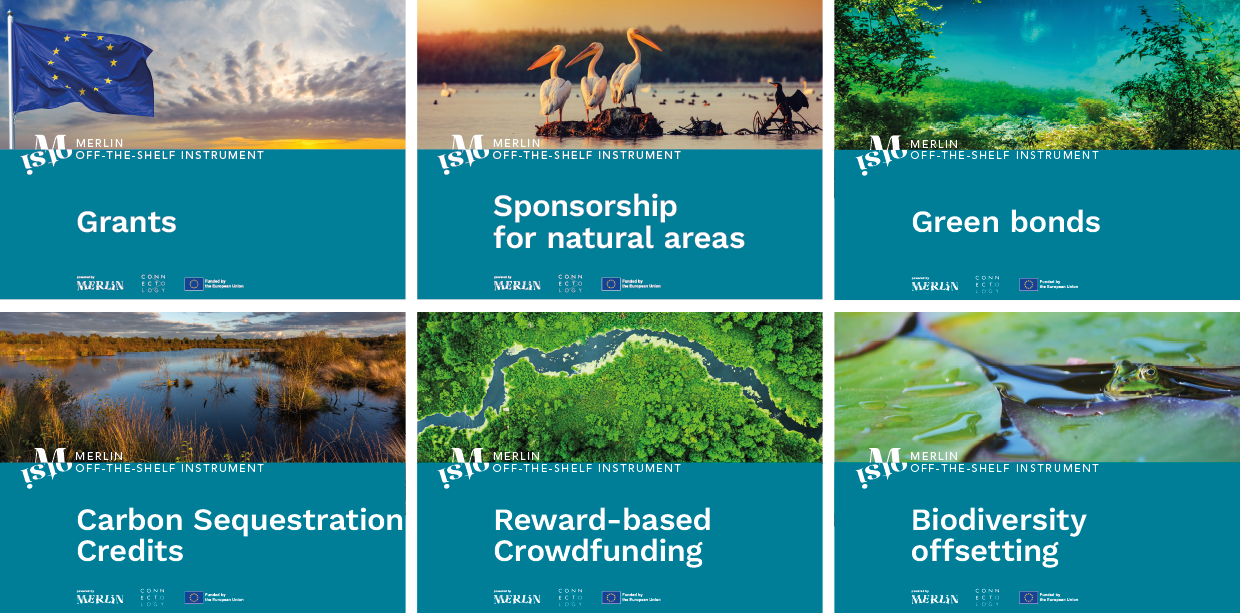 Funding freshwater and nature restoration: twelve Off-the-Shelf Instruments