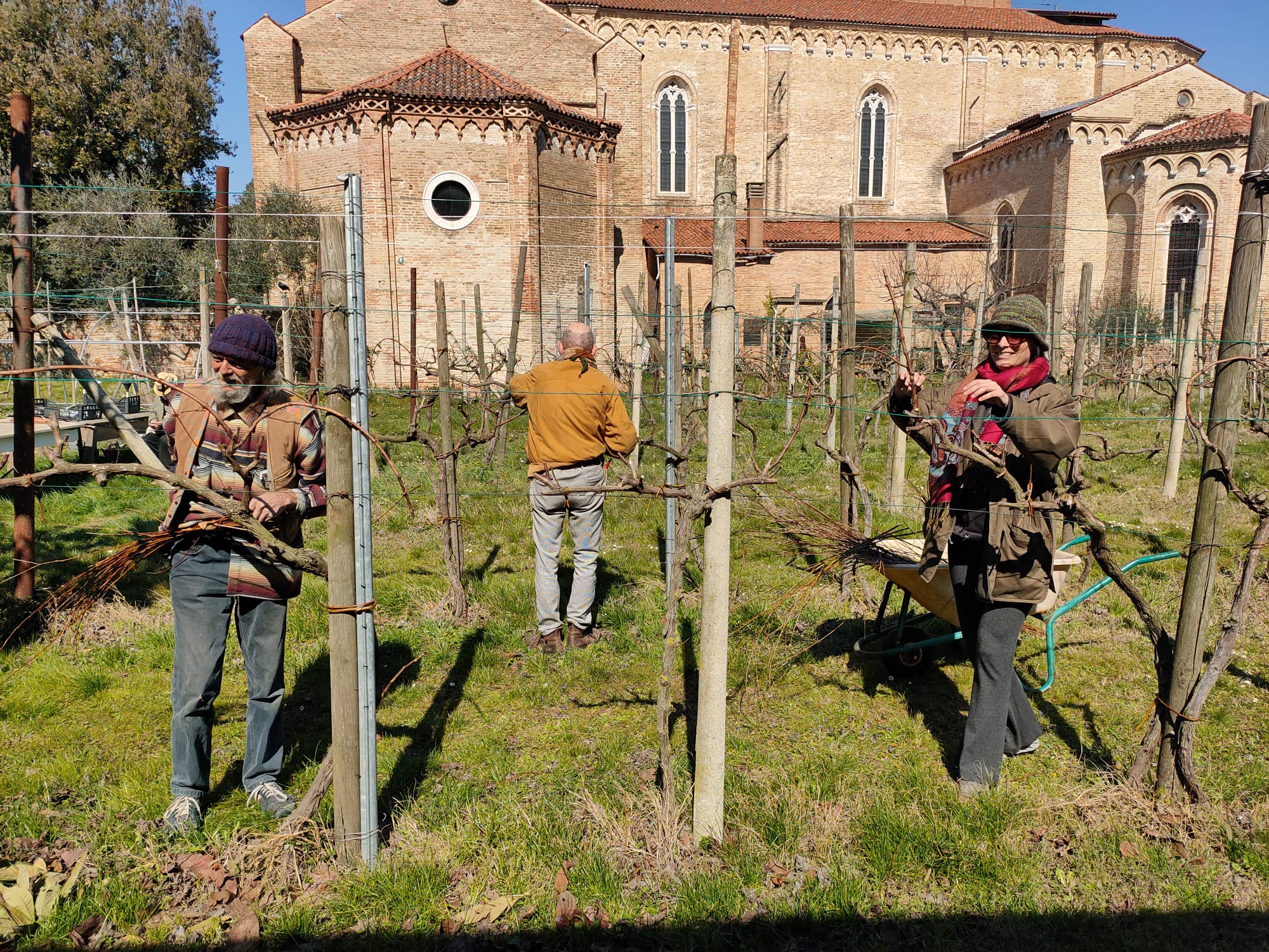 Laguna nel Bicchiere: Reviving Venice’s forgotten vineyards